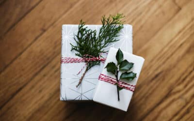 Vision Pro Bulletin: December Update – New Features, Referrals, and Looking Ahead